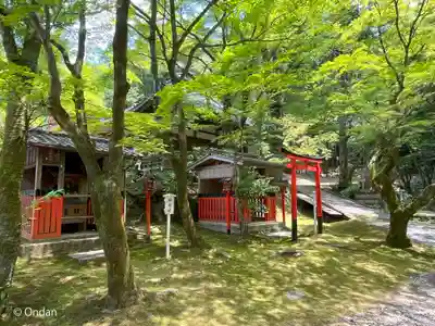 今熊野観音寺(京都府)