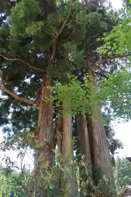 金剛三昧院(和歌山県)