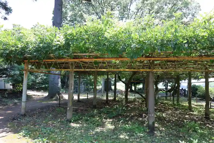 武蔵第六天神社(埼玉県)
