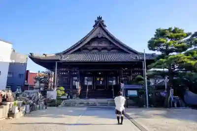 海徳寺の本殿・本堂