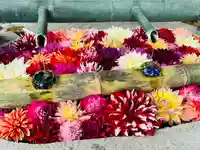 岡寺(龍蓋寺)(奈良県)