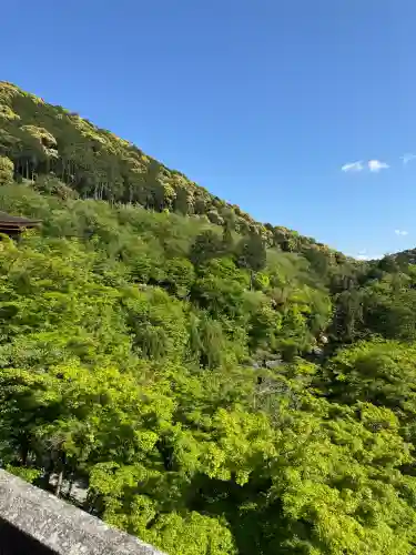 清水寺の{uncategorized: "未分類", other: "その他", undefined: "問題あり", building: "その他建物", grave: "お墓", sacred_gate: "鳥居", guardian: "狛犬", statue: "像", buddha: "仏像", history: "歴史", nature: "自然", garden: "庭園", animal: "動物", pagoda: "塔", temizu: "手水舎", mountain_gate: "山門・神門", sanctuary: "本殿・本堂", subordinate: "末社・摂社", art: "芸術", scenery: "景色", jizo: "地蔵", ema: "絵馬", goshuin: "御朱印", omikuji: "おみくじ", items: "授与品その他", amulet: "お守り", goshuincho: "御朱印帳", eats: "食事", festival: "お祭り", votive_dance: "神楽", shichigosan: "七五三参", wedding: "結婚式", experience: "体験その他", initially: "初詣", around: "周辺", anti_infection: "感染症対策"}