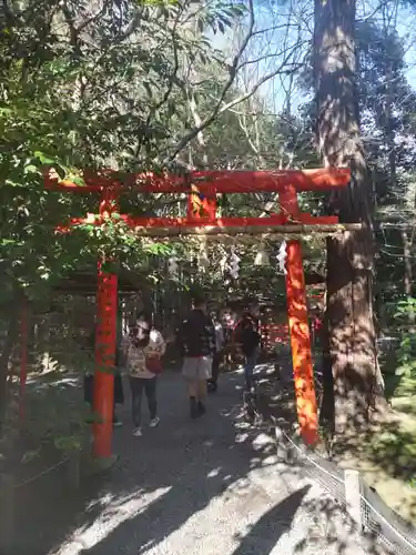 野宮神社(京都府)