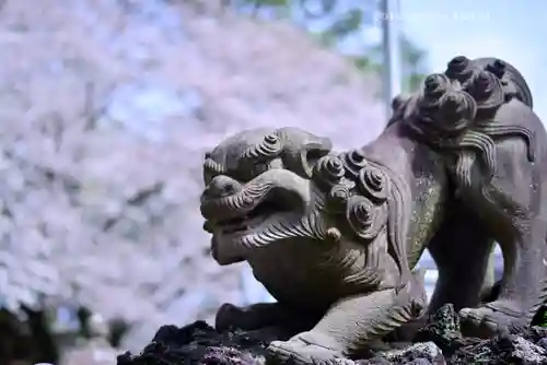 前原御嶽神社の狛犬
