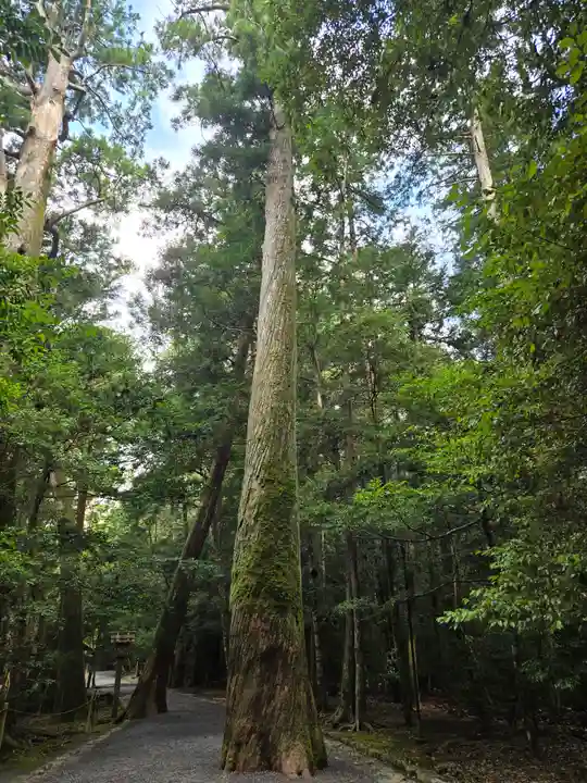瀧原宮(皇大神宮別宮)(三重県)