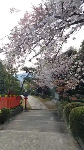 建勲神社の自然