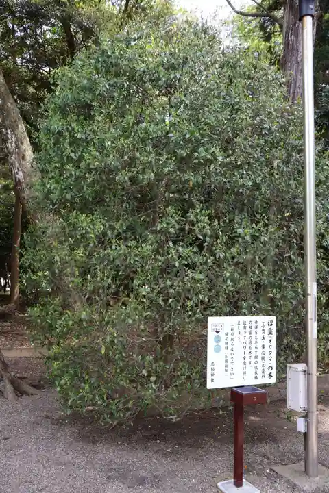 息栖神社(茨城県)