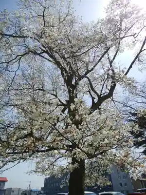 厚別神社(北海道)