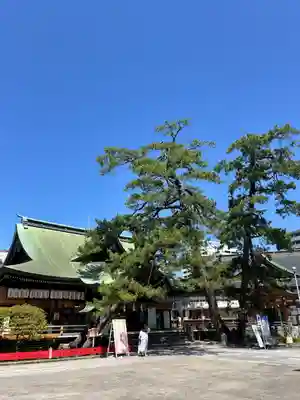 白山神社(新潟県)