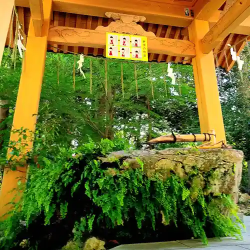 渭伊神社(静岡県)