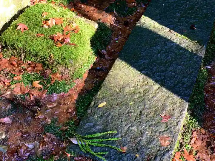 大寧寺(山口県)