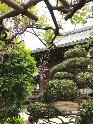 蓮光寺の本殿