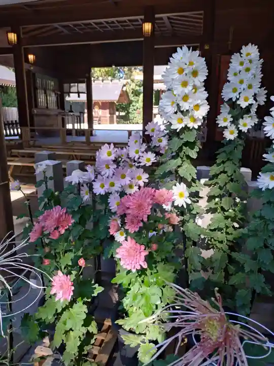 阿佐ヶ谷神明宮(東京都)