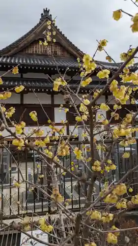 大松禅寺(京都府)