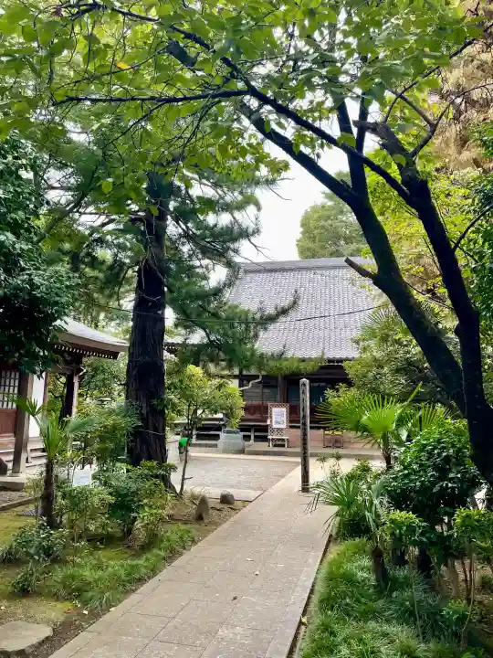 玉泉寺(東京都)