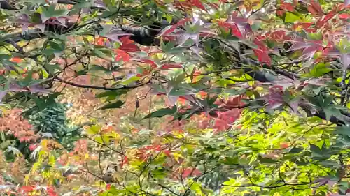 大法院(京都府)