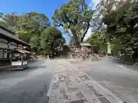 鹿児島神宮(鹿児島県)