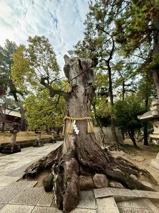 住吉大社の{uncategorized: "未分類", other: "その他", undefined: "問題あり", building: "その他建物", grave: "お墓", sacred_gate: "鳥居", guardian: "狛犬", statue: "像", buddha: "仏像", history: "歴史", nature: "自然", garden: "庭園", animal: "動物", pagoda: "塔", temizu: "手水舎", mountain_gate: "山門・神門", sanctuary: "本殿・本堂", subordinate: "末社・摂社", art: "芸術", scenery: "景色", jizo: "地蔵", ema: "絵馬", goshuin: "御朱印", omikuji: "おみくじ", items: "授与品その他", amulet: "お守り", goshuincho: "御朱印帳", eats: "食事", festival: "お祭り", votive_dance: "神楽", shichigosan: "七五三参", wedding: "結婚式", experience: "体験その他", initially: "初詣", around: "周辺", anti_infection: "感染症対策"}