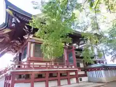 諏訪神社の本殿