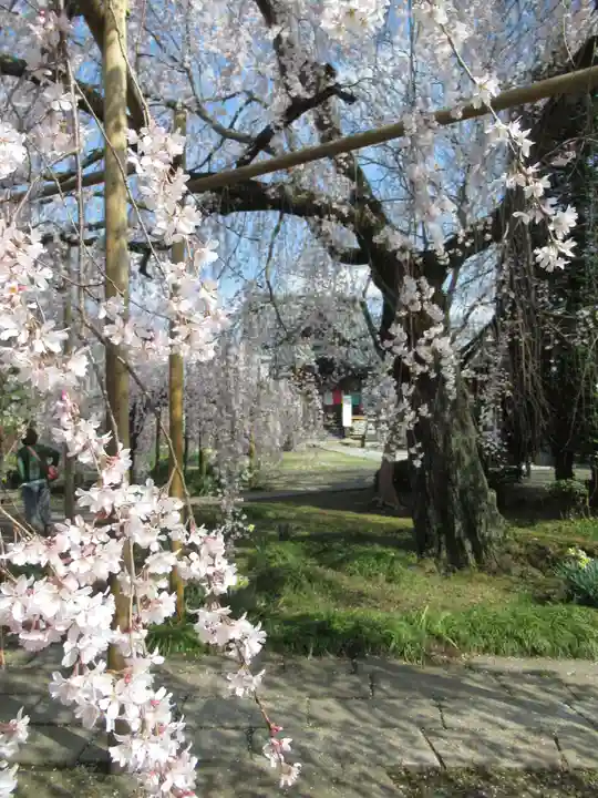 慶龍寺(茨城県)