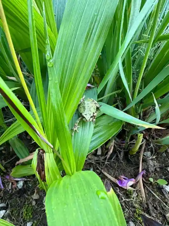 浄土寺(兵庫県)