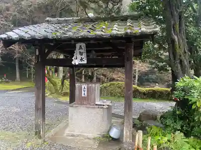 今熊野観音寺(京都府)