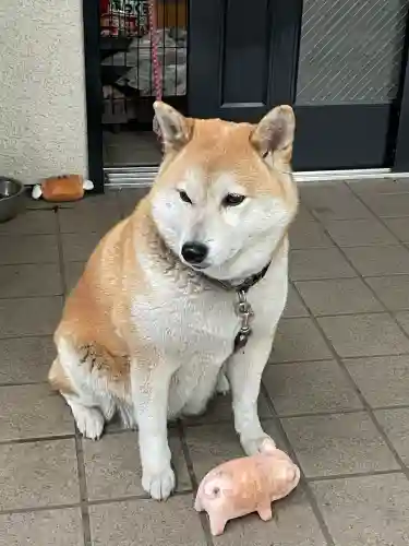 笠䅣稲荷神社(神奈川県)
