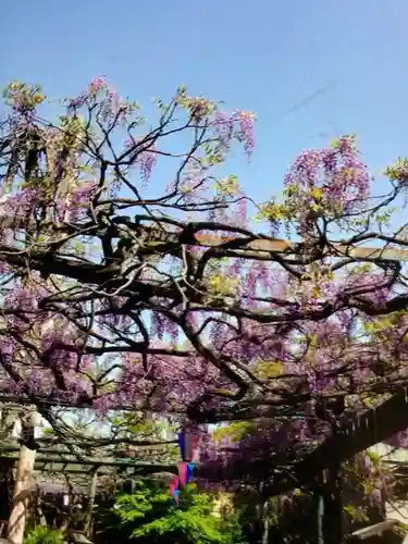 國領神社(東京都)
