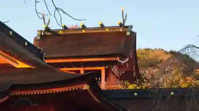 富士山本宮浅間大社(静岡県)