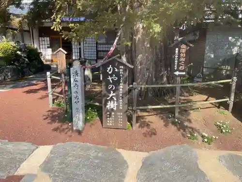 済広寺(静岡県)