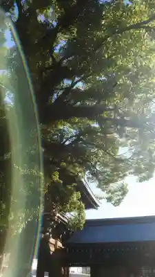 真清田神社の山門・神門