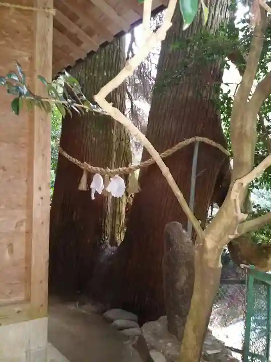 神龍八大龍王神社の自然