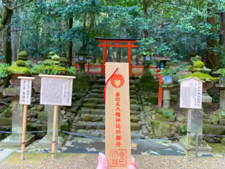 春日大社(奈良県)