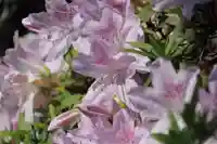 開成山大神宮の庭園