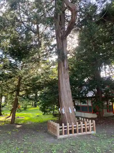 長沼神社(北海道)