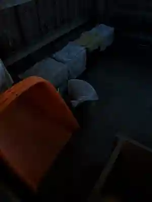 泥宮神社(長野県)