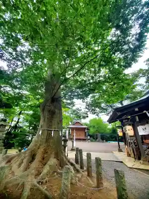 日吉神社(福島県)