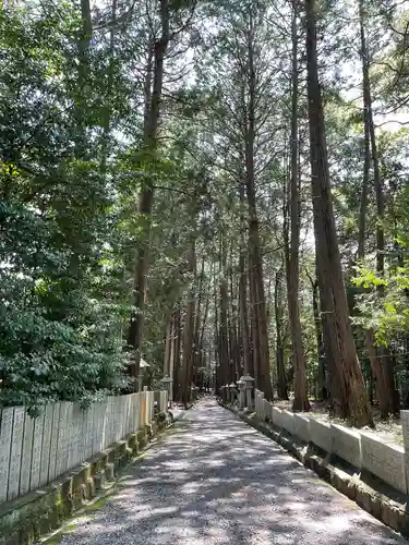 東大野八幡神社(福岡県)