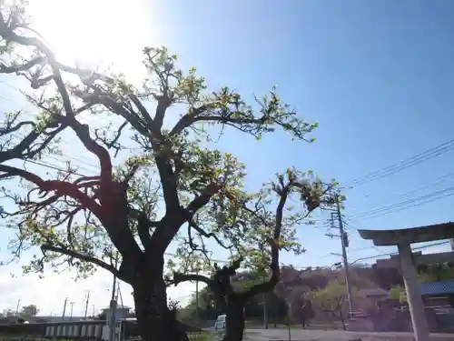 東金野井　天神社(千葉県)