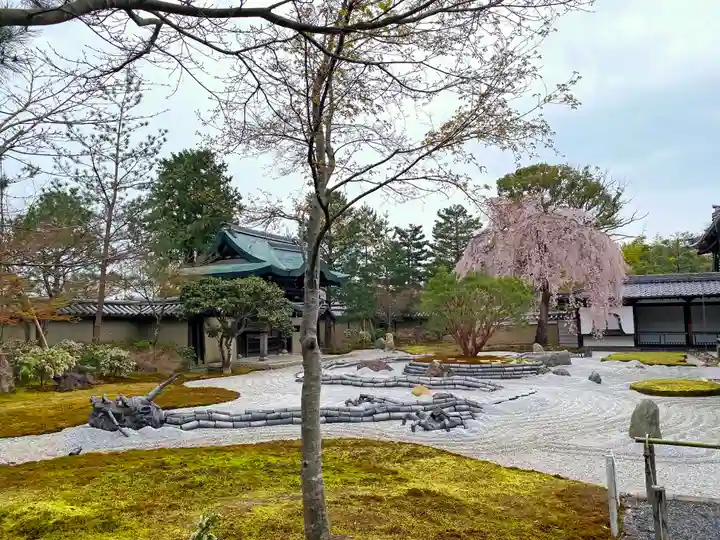 高台寺(高台寿聖禅寺・高臺寺)の庭園