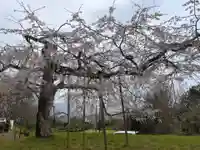 南明寺(山口県)