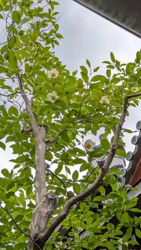 天寧寺(京都府)