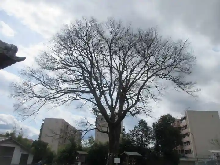 石坐神社(滋賀県)