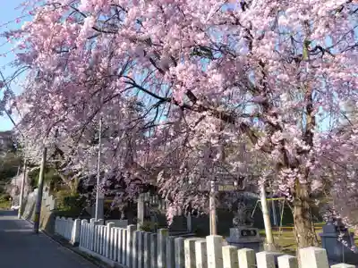 熊野神社の自然