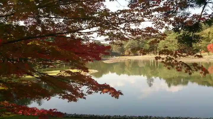 毛越寺(岩手県)