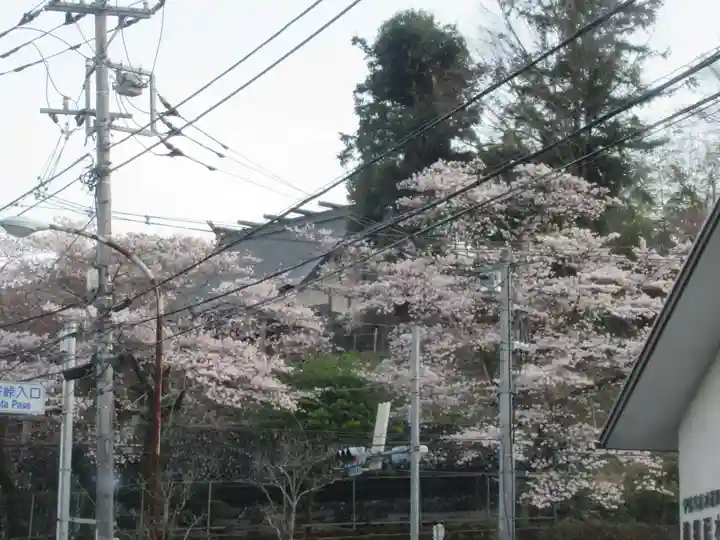 稲荷神社(東京都)
