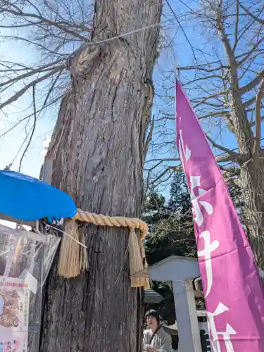 札幌諏訪神社の自然