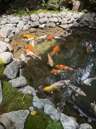 秩父神社(埼玉県)