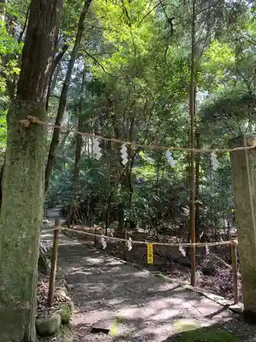 石上神宮の自然