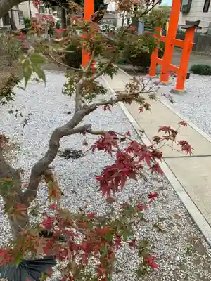 大野神社の自然